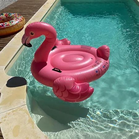 Stunning Maison Du Maitre Near Cognac Private Pool Vakantiehuis Haimps